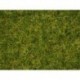 NOCH 07072 - Master-Grasmischung Sommerwiese, 2,5 bis 6 mm