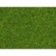 NOCH 08214 - Streugras Zierrasen, 1,5 mm