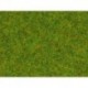 NOCH 08150 - Streugras Frühlingswiese, 2,5 mm
